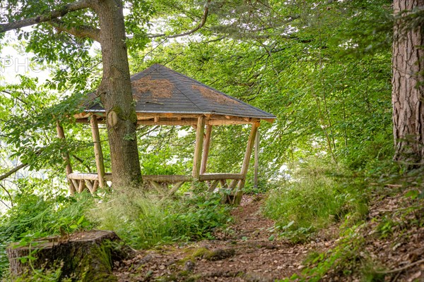 Wooden pavilion in the forest on the Sprollenhaeuser Hut hiking trail