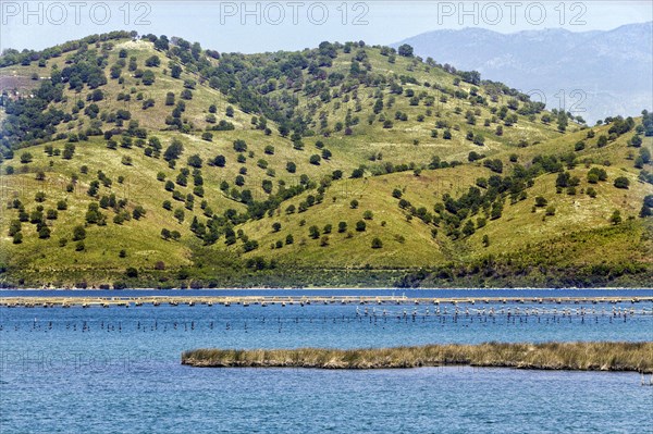 Lake Butrint