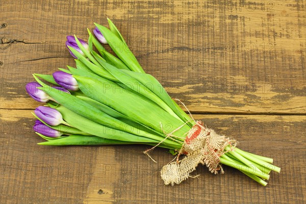 Bouquet of tulips on a wooden background