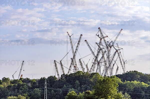 Many cranes at the Liebherr factory