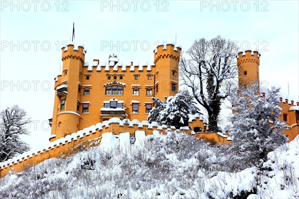 Hohenschwangau Castle in winter