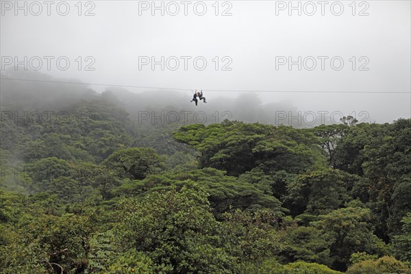 Canopy glider in Monteverde Cloud Forest