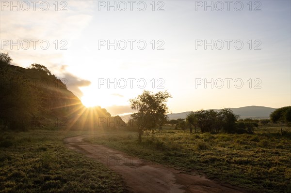 View on a safari