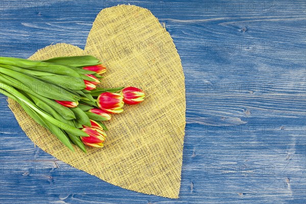 Linen Tulip Bouquet on Brown Heart