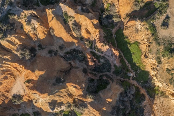 Red Rocks