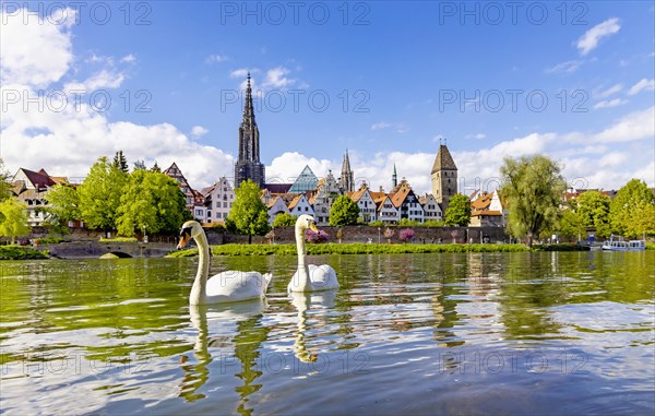 Danube bank with view of the historic old town