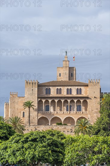 Royal Palace La Almudaina in the evening light