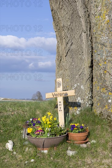 Wooden cross with flower bowls in memory of a victim of a traffic accident on a tree