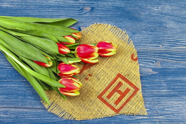 Tulips on a Linen Heart