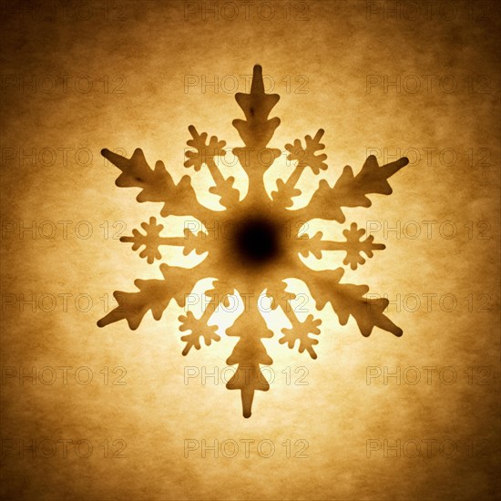 Snow flake Silhouette Sepia