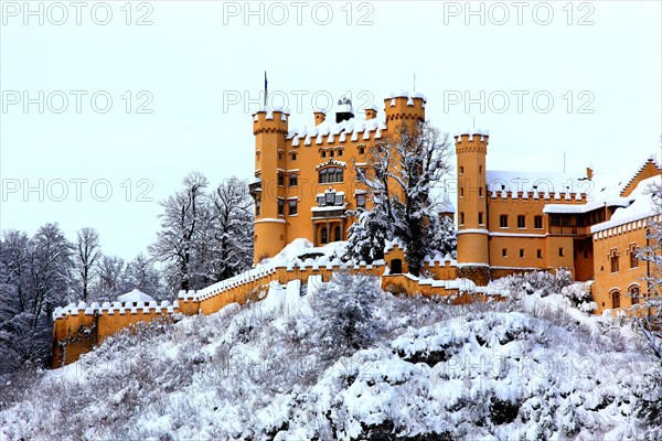 Hohenschwangau Castle in winter