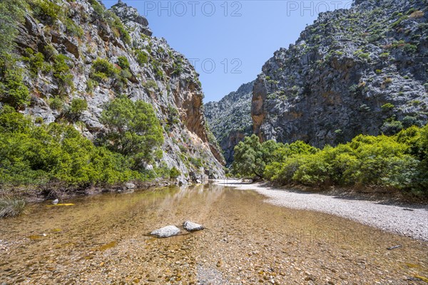 Ravine with river Torrent de Pareis