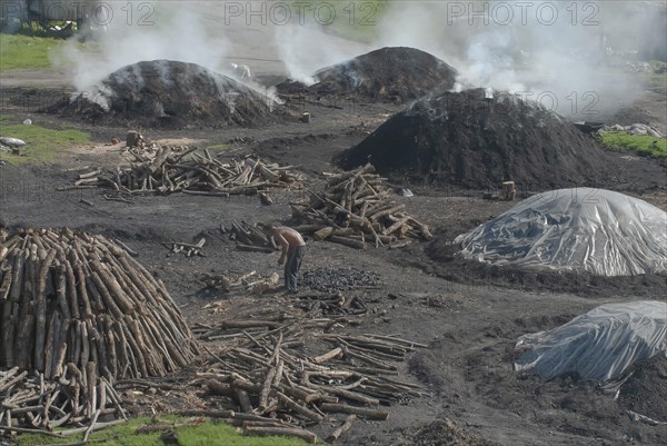 Charcoal burners during charcoal extraction