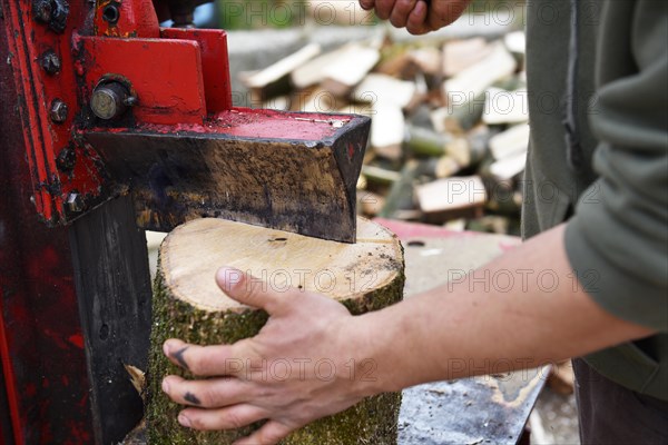 Worker making firewood with a log splitter