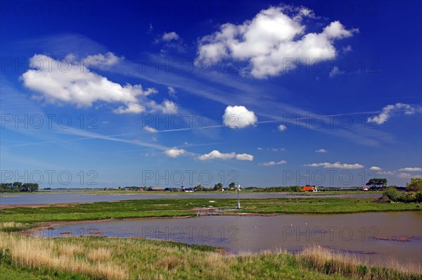 Green landscape