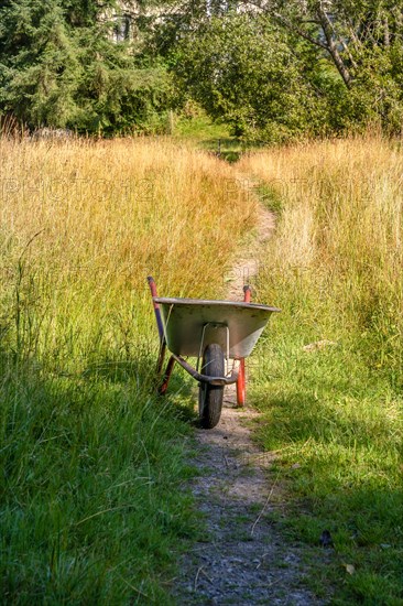 Wheelbarrow in the high grass on the hiking trail Sprollenhaeuser Hut