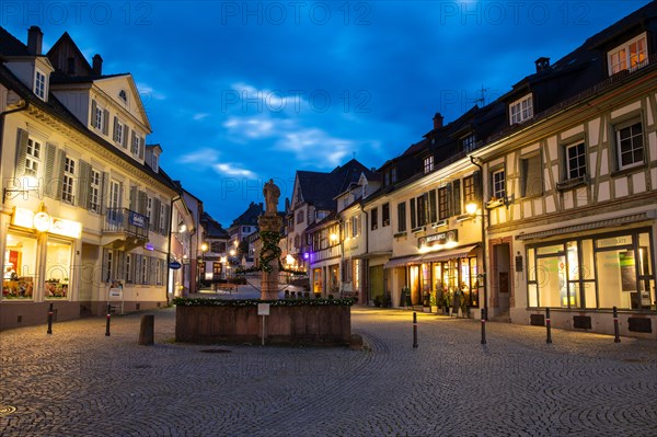 Half-timbered houses