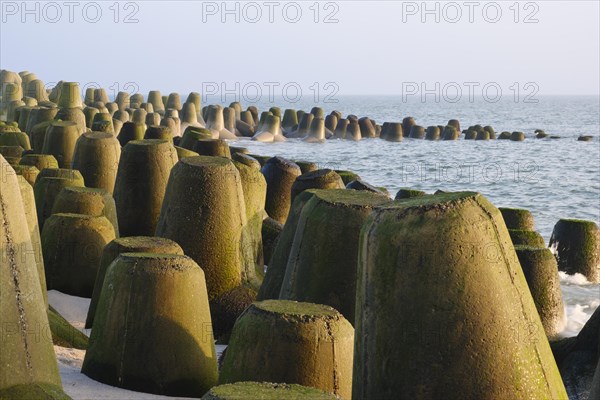 Tetrapods