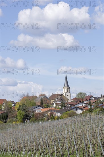 Village of Neckarwestheim with church tower