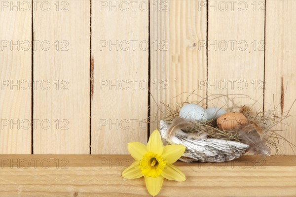 Easter nest from a shell with some Easter eggs
