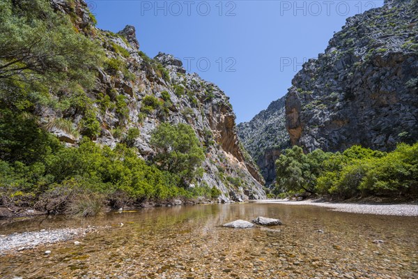 Ravine with river Torrent de Pareis