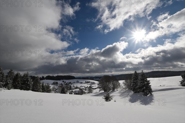 Winter landscape