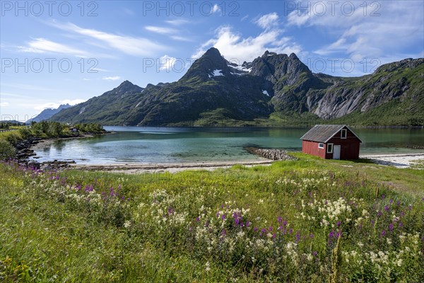 Red fishing hut by the fjord