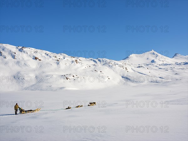 Inuit with his dog sled team