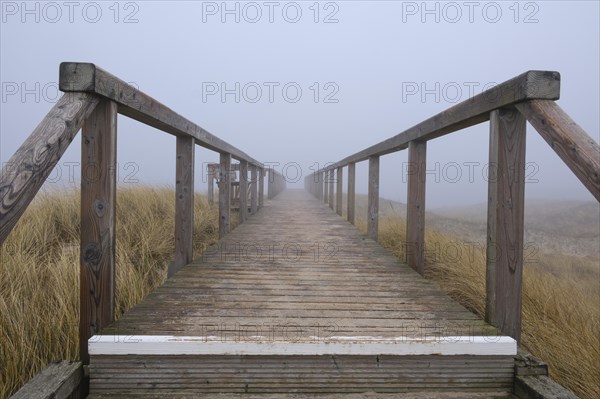 Wooden footbridge through the dunes