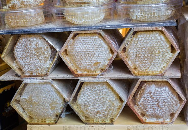 Sweet fresh honey in the sealed comb frame