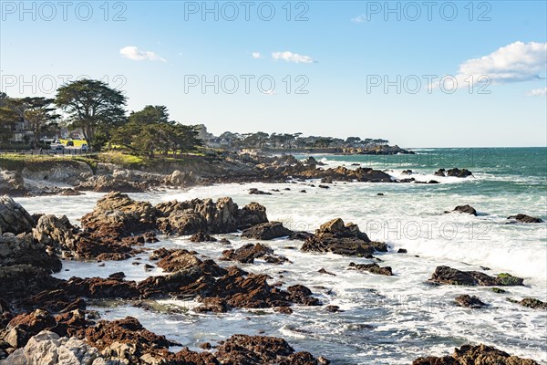 Rocky coastline on Pacific Grove