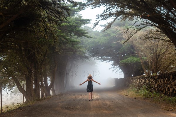 A woman walking through foggy trees towards the juniper forest in El Hierro. Canary Islands
