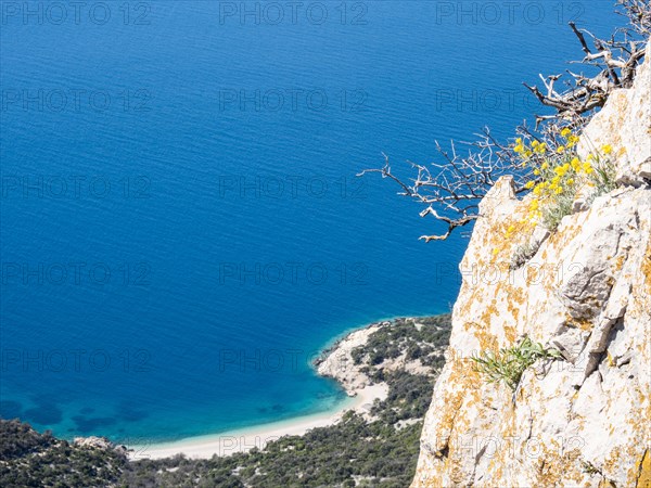 View of the blue sea and the sandy beach