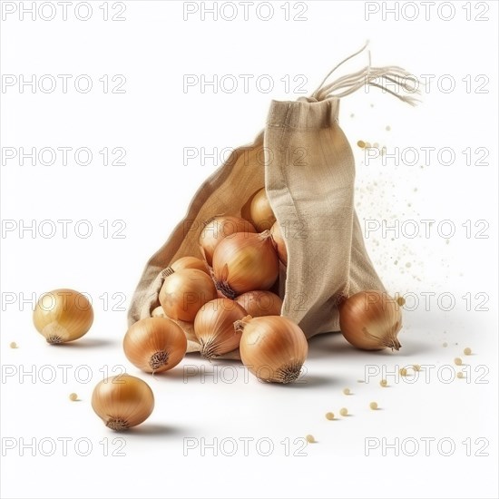 Old sack with onions