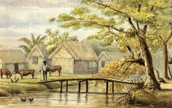 Slave huts on the Sorgvliet coffee plantation in Suriname