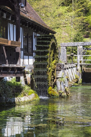 Blautopf with historic hammer mill