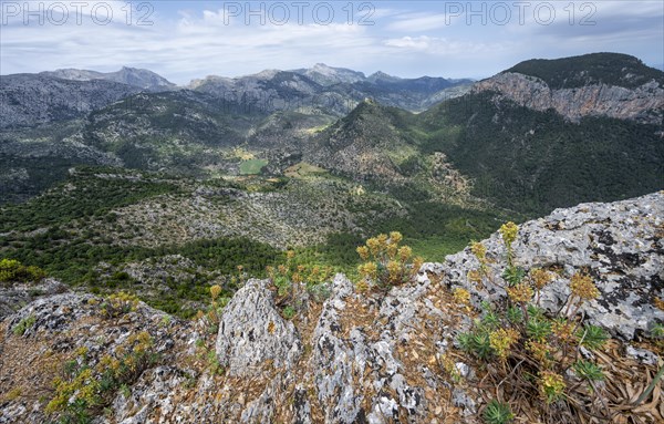 View over the mountains of the Serra de Tramuntana