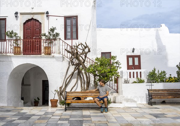 Young man sitting on a bench with sleeping cats