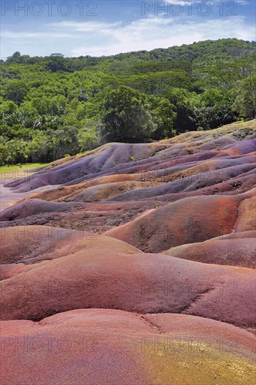 The Seven Coloured Earth