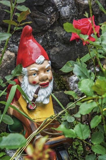 Garden gnome with pipe and wheelbarrow