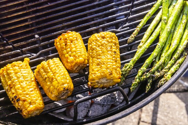 Barbecue in the garden