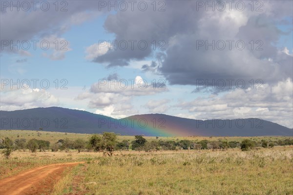 View on a safari