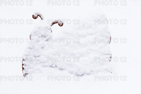 Snail made of tin in winter