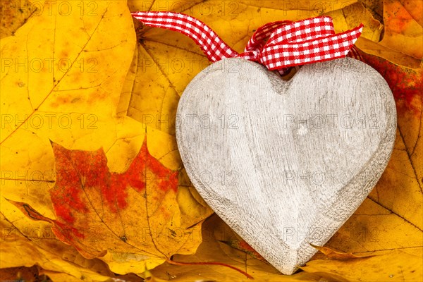 Wooden Heart on Autumn Leaves