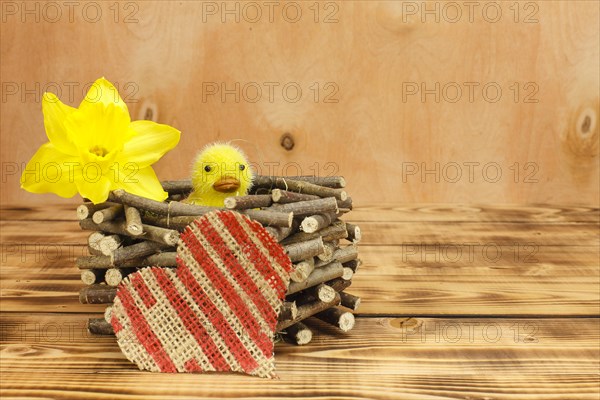 Chick in a wooden nest with a linen heart and daffodil blossom