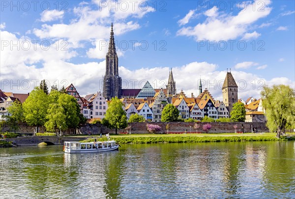 Danube bank with view of the historic old town