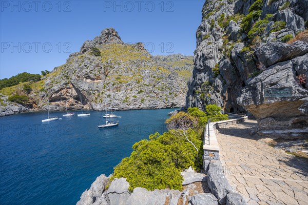 Path along the coast