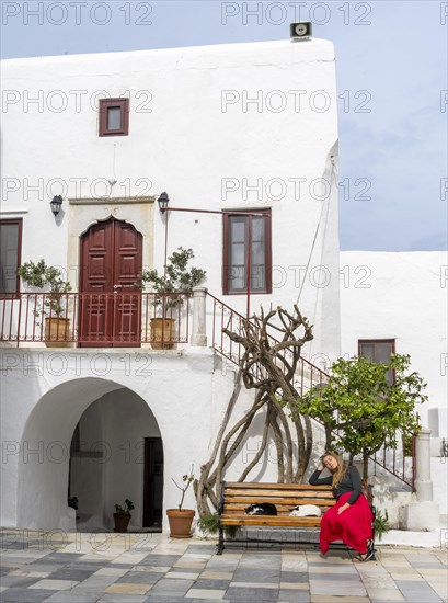 Young woman with red skirt sitting on a bench with sleeping cats