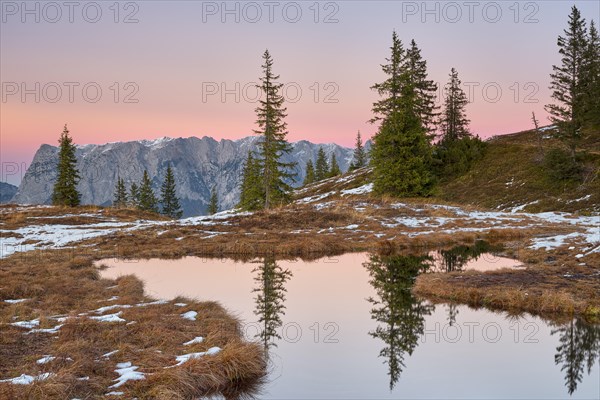 Autumn alpine pasture at sunrise