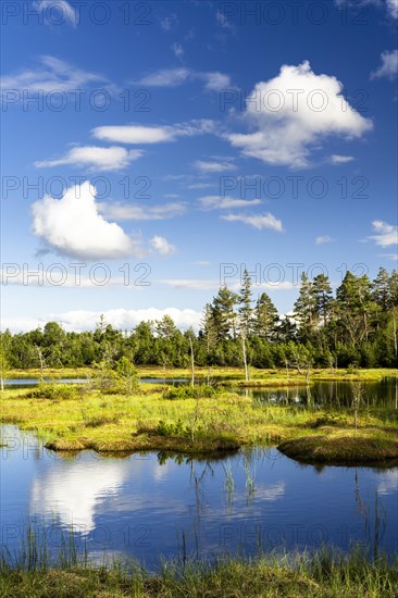 The Wildsee with its small islands in the Wildseemoor on a sunny day